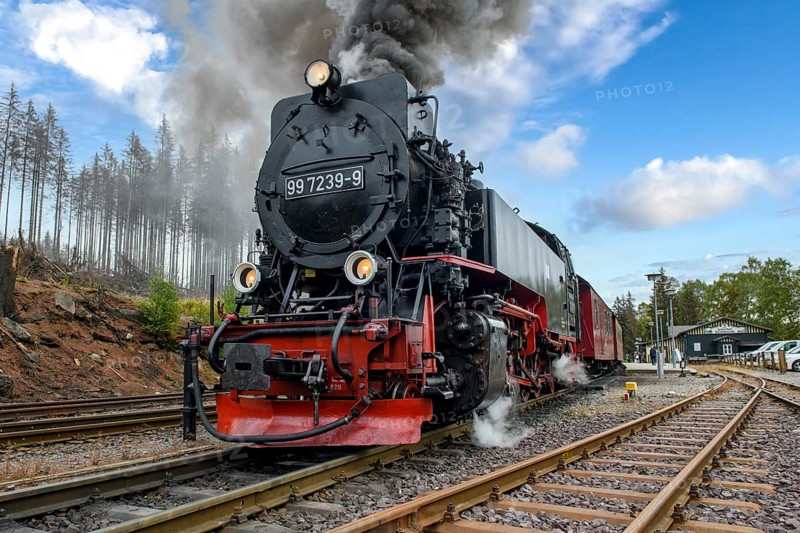 View of steam locomotive steam locomotive of Harz narrow-gauge railway narrow-gauge railway Brockenbahn runs as a passenger train with attached passenger wagons railway wagons from Schierke station towards the summit of Brocken lets off steam steam cloud comes out of chimney of steam locomotive, Schierke, Wernigerode in the Harz Mountains, Saxony-Anhalt, Germany