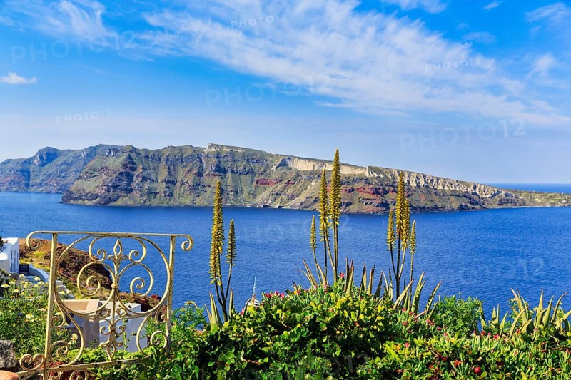 Wrought-iron railing, Mediterranean vegetation, view of the caldera and the island of Nea Kameni, Cirrus, Oia, Thira, Santorini, Cyclades, Greece