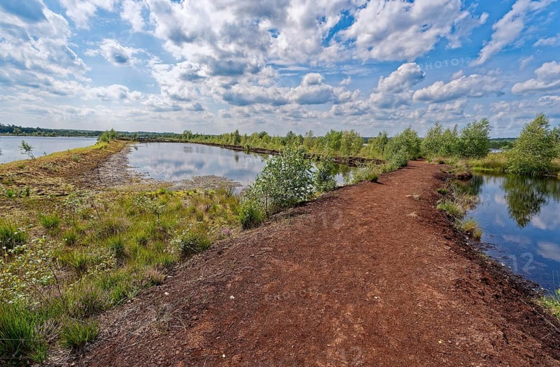A drained peat path leads through the water areas in the Himmelmoor. Himmelmoor, the largest raised bog in Schleswig-Holstein, has been largely renaturalised and rewetted and is part of the European Natura 2000 protected area. Quickborn, Pinneberg district, Schleswig-Holstein, Germany