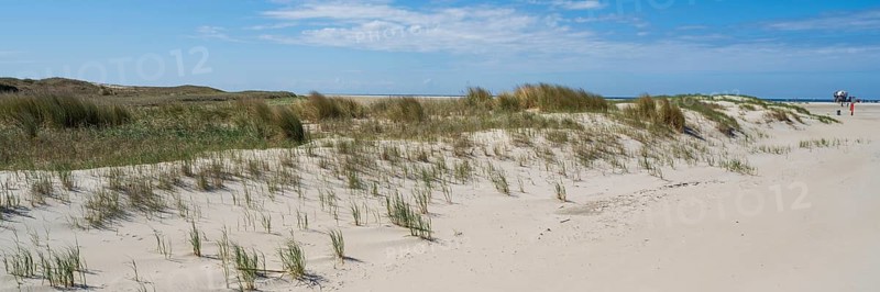 Dune landscape, sandy beach, panorama format, Sankt Peter Ording, Eiderstedt, North Frisia, North Sea, Schleswig-Holstein, Germany