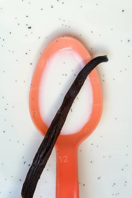Spoon with vanilla pod, vanilla seeds in milk
