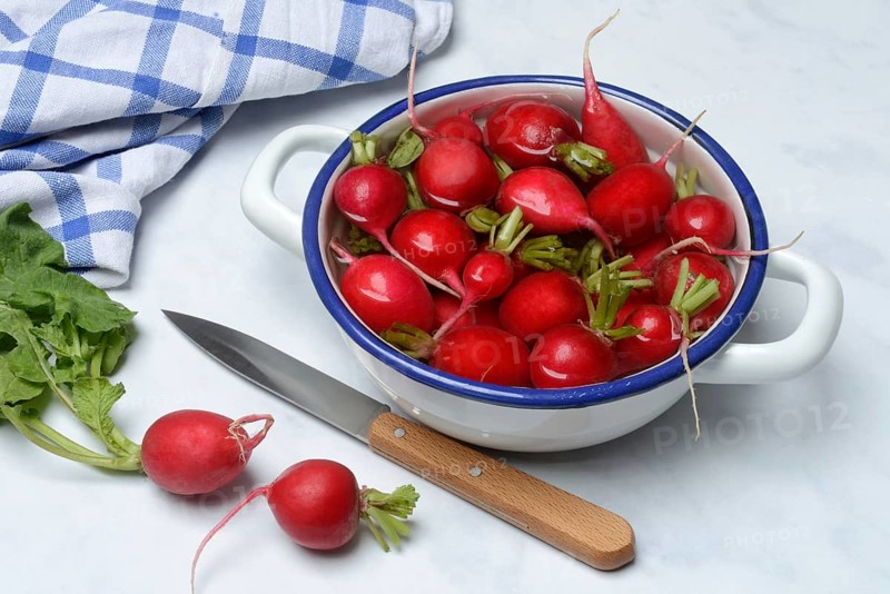 Radish in skin, in water, Raphanus sativus