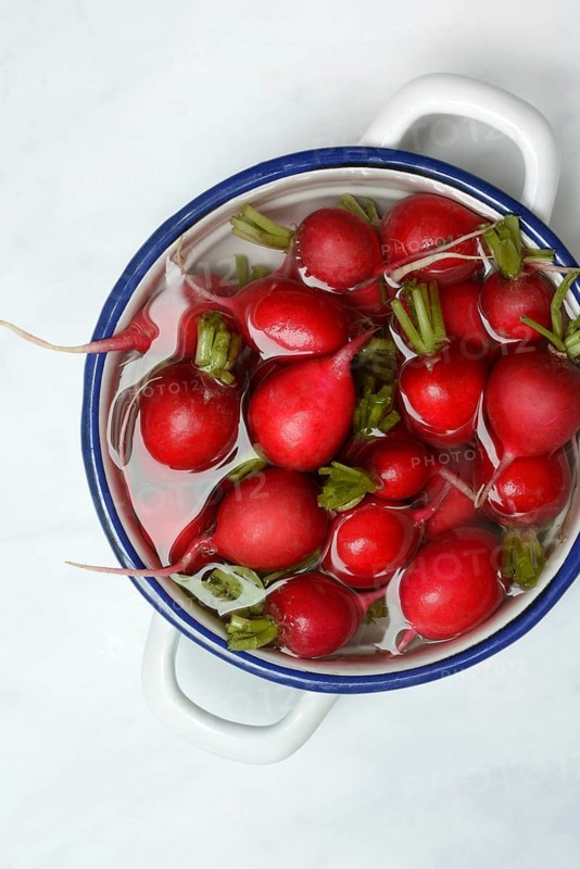 Radish in skin, in water, Raphanus sativus