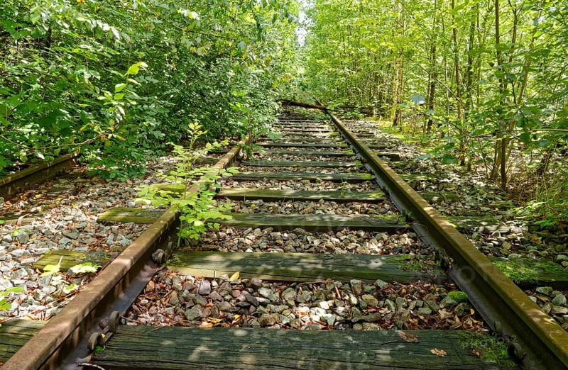 Rusty, overgrown tracks at the former Blumendorf railway station. Bad Oldesloe, Schleswig-Holstein, Germany