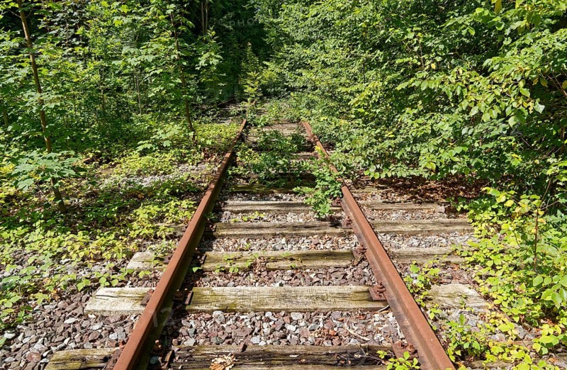 Rusty tracks, overgrown with trees and weeds, at the former Blumendorf railway station. Bad Oldesloe, Schleswig-Holstein, Germany
