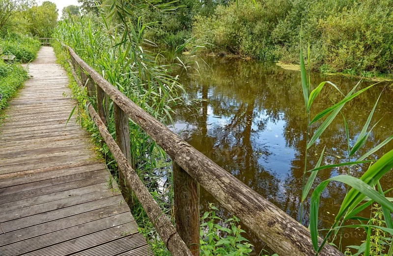 Footpath with wooden railings along the River Trave in Brenner Moor. The Brenner Moor is a salt moor, FFH area, in the Trave lowlands near Bad Oldesloe. Schleswig-Holstein, Germany