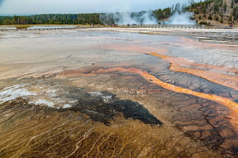 180819_371 Brown layered stratiform mats at the outer perimeter of the Grand Prismatic Spring in the Midway Geyser Basin of Yellowstone National Park, Wyoming