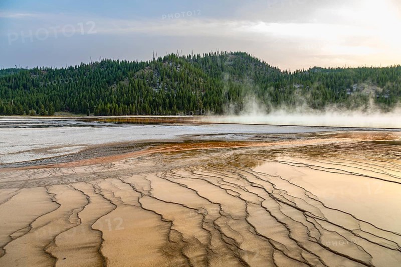 180819_355 Brown layered stratiform mats at the outer perimeter of the Grand Prismatic Spring in the Midway Geyser Basin of Yellowstone National Park, Wyoming