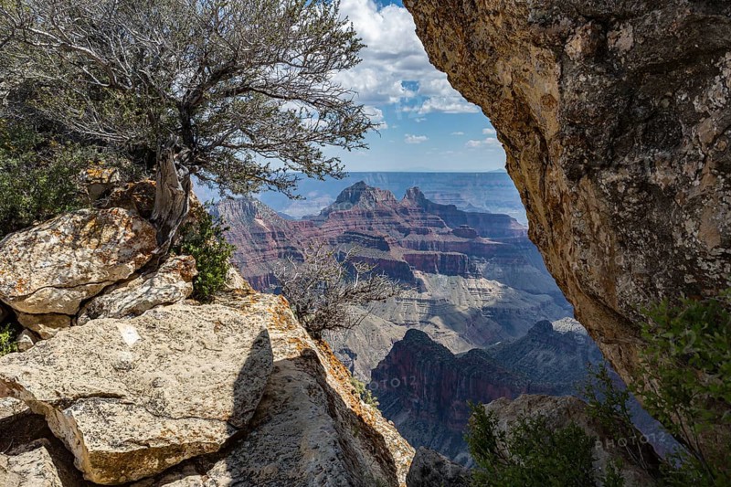190601_029 North Rim of the Grand Canyon in Northern Arizona, USA