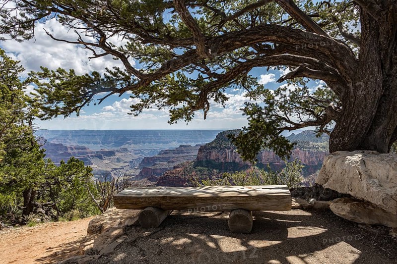 190601_102 North Rim of the Grand Canyon in Northern Arizona, USA