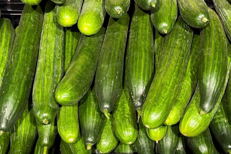 Snake cucumbers (Trichosanthes anguina) displayed by grocery retailers greengrocers retail wholesalers, internationa