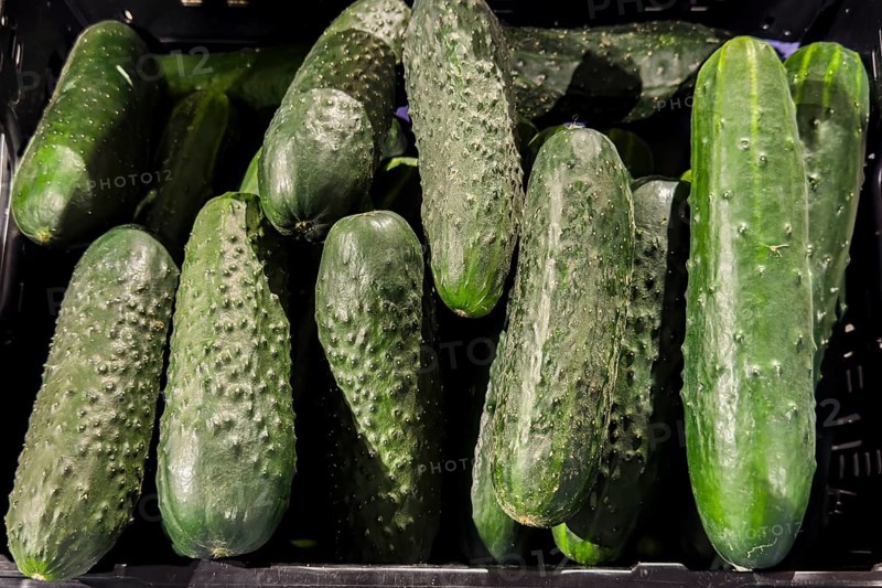 Country cucumbers outdoor cucumbers with slightly prickly rough rough skin rich in vitamins C and K minerals and fiber, country of origin Spain on display by retail grocer, Germany