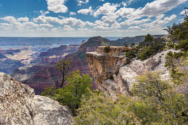 North Rim of the Grand Canyon in Northern Arizona, USA