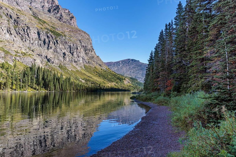 240831_124 Pine forest and rugged mountains along the shoreline of Lake Josephine in Glacier National Park, Montana, USA