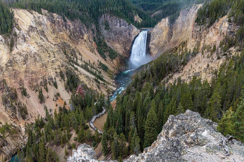 240913_029 Lower falls of the Yellowstone River in Yellowstone National Park, Wyoming, USA