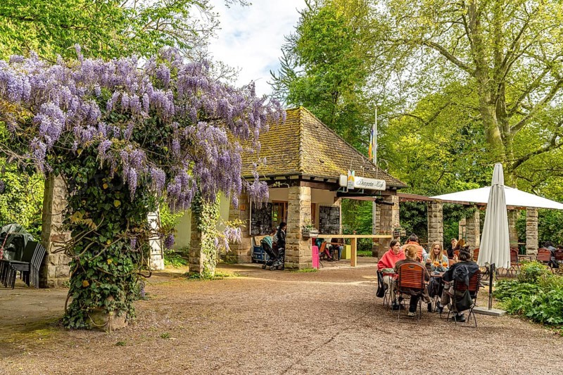Cafe im Domgarten in Speyer, Rhineland-Palatinate, Germany