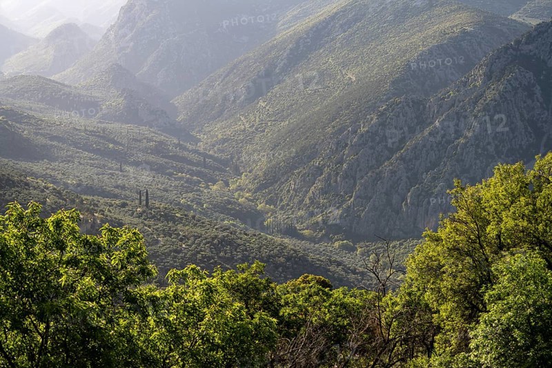 Valley in the countryside near the archaeological site of Delphi, UNESCO World Heritage Site in Delphi, Greece