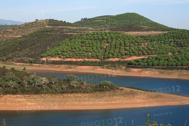 Landscape at Barragem da Bravura Reservoir with Pine Forest, Algarve, Portugal, Green Hills and Forest Surround a Tranquil Lake with Blue Water