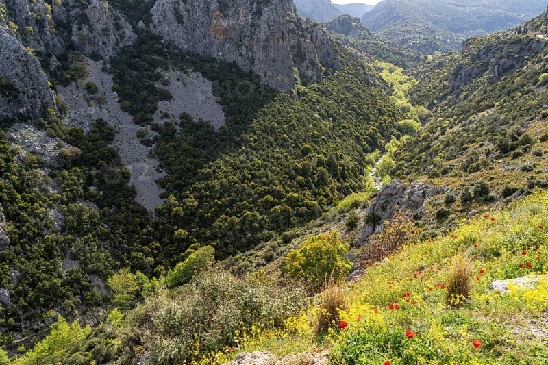The Manikia Gorge on the island of Euboea or Evia, Greece