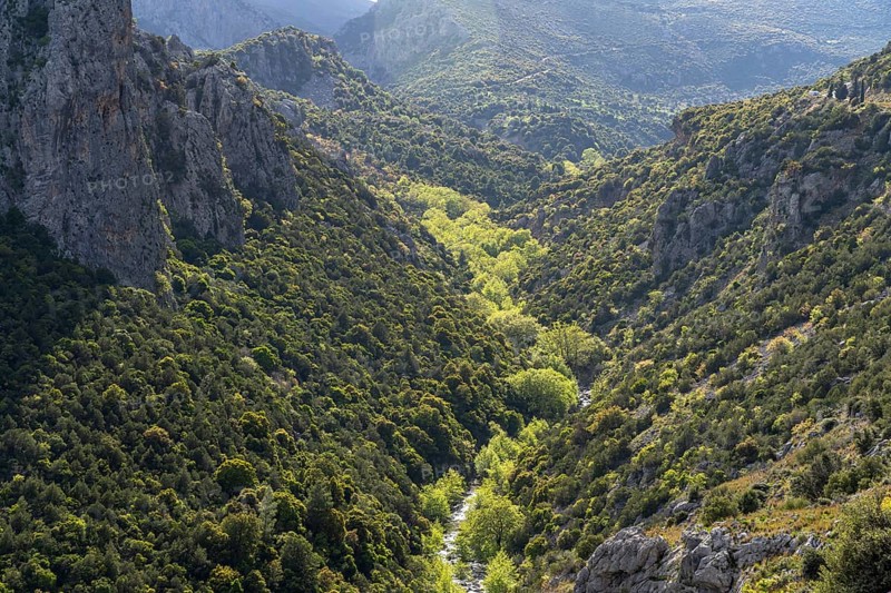The Manikiatis River in the Manikia Gorge on the island of Euboea or Evia, Greece