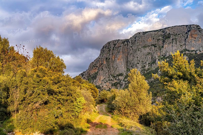 Hiking trail in the Manikia Gorge on the island of Euboea or Evia, Greece