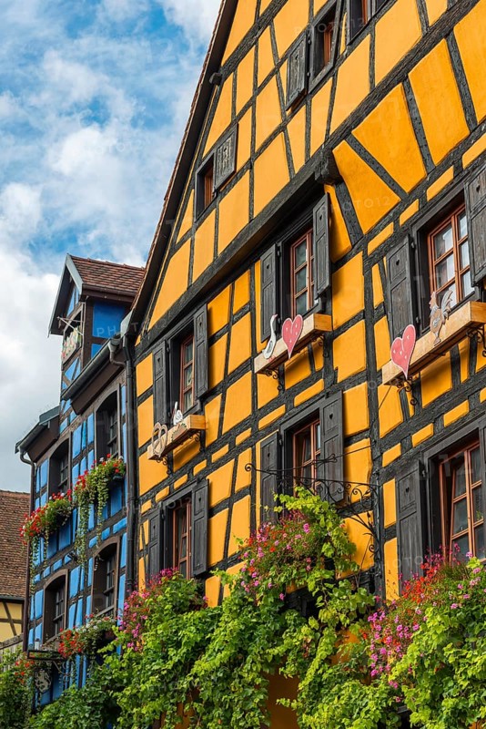 Decorated timber-frame house in the historic old town of Riquewihr, Ellsass