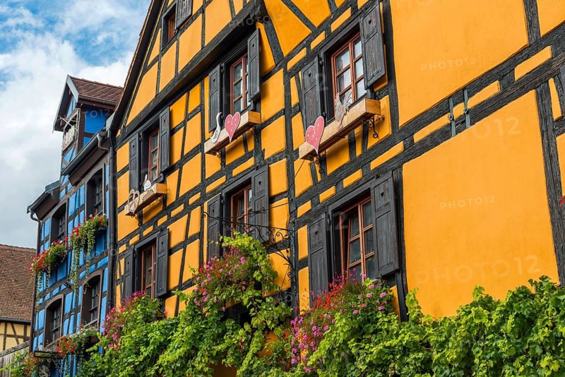 Decorated timber-frame house in the historic old town of Riquewihr, Ellsass