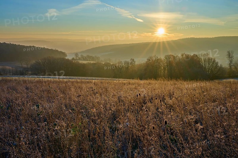 Frozen field at sunrise, bright sun over the landscape illuminating nature, Seckmauern, Lützelbach, Maintal, Odenwald, Hesse, Germany