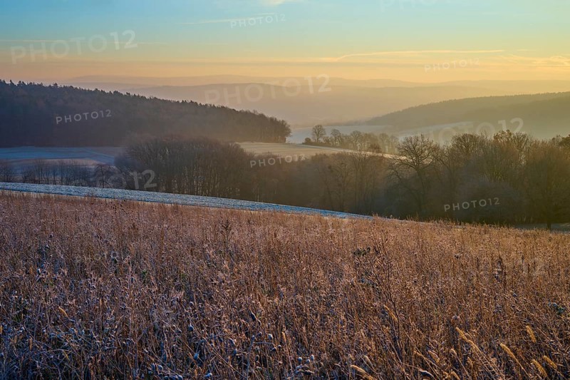 Frozen field with trees at dawn illuminated by the sun showing the silent beauty of nature, Seckmauern, Lützelbach, Maintal, Odenwald, Hesse, Germany