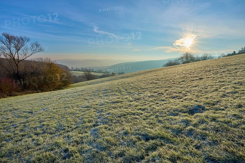 Frost covers a hill in sunrise light on a clear morning, Seckmauern, Lützelbach, Maintal, Odenwald, Hesse, Germany
