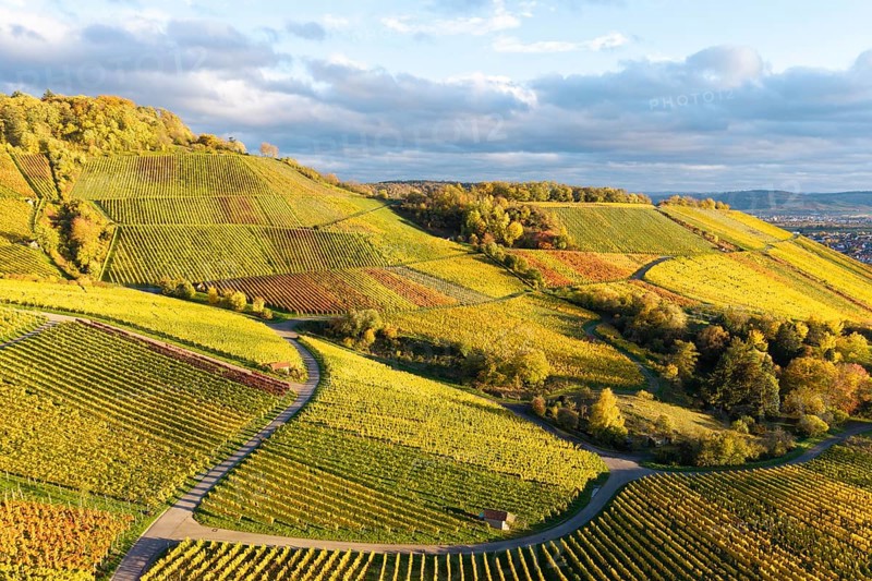 Landscape with golden vineyards and rolling hills under a changing sky, autumn, near Korb im Remstal, Rems-Murr-Kreis, Baden-Württemberg, Germany