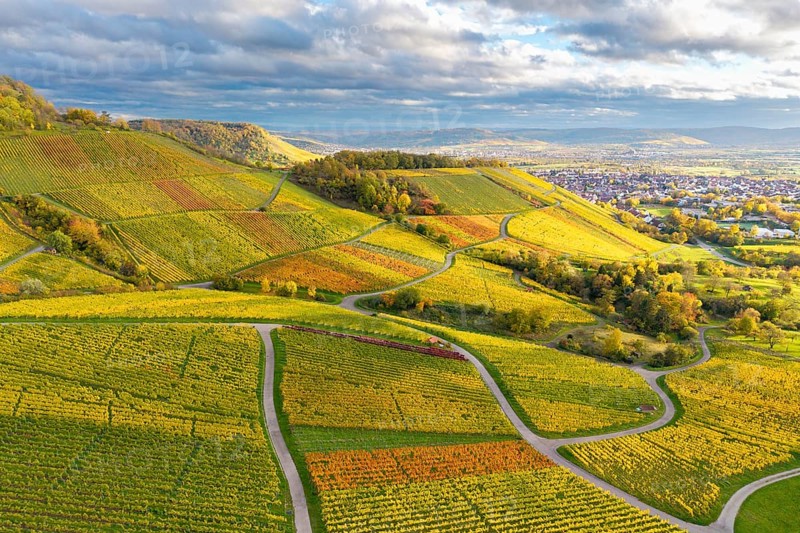 View of vineyards and a city on the horizon under a cloudy sky, autumn, near Korb im Remstal, Rems-Murr-Kreis, Baden-Württemberg, Germany