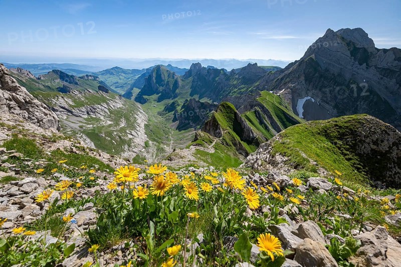 View over Alpstein Mountains into the Meglisalp Valley, Rotstein Pass, Säntis, Appenzell, Switzerland