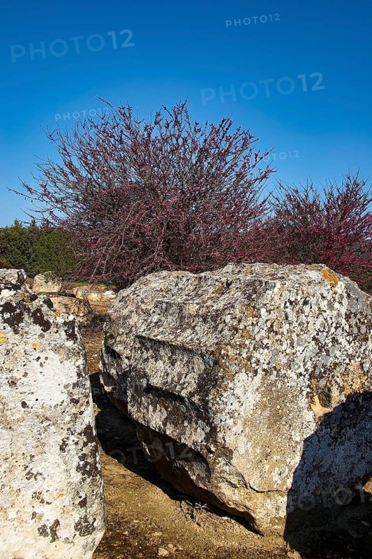 Big rock in a natural setting. Shrubs and sky, Nemea, Ancient Zeus Heightum, Archeological Site, Peloponnese, Greece