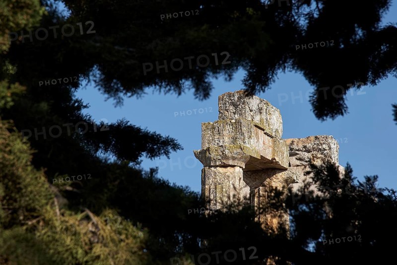 Fragment of ancient architecture surrounded by trees. Ruins Landscape, Nemea, Ancient Zeus Church, Archaeological Site, Peloponnese, Greece