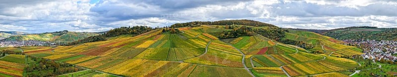 Panoramic view of hilly vineyards under cloudy sky, with autumn colors, near Strümpfelbach im Remstal, Rems-Murr-Kreis, Baden-Württemberg, Germany