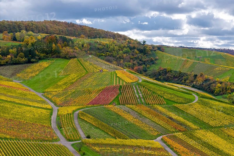 Vivid colors of the vineyards with red-yellow patterns on hilly terrain under a cloudy sky, autumn, near Strümpfelbach im Remstal, Rems-Murr-Kreis, Baden-Württemberg, Germany