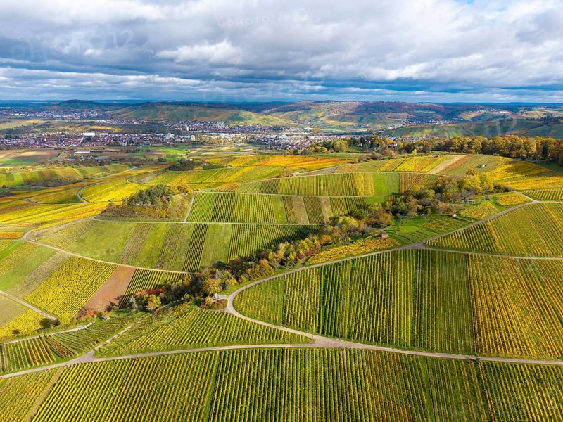 Colourfully striped vineyards in autumn stretch across from the city, near Strümpfelbach im Remstal, Rems-Murr-Kreis, Baden-Württemberg, Germany