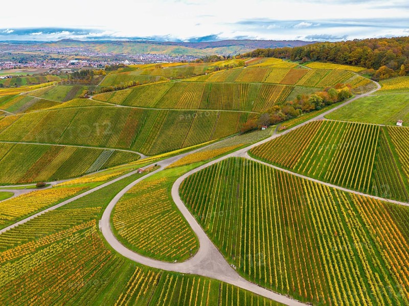 Chessboard-like, autumnal vineyards with winding paths under a cloudy sky, near Strümpfelbach im Remstal, Rems-Murr-Kreis, Baden-Württemberg, Germany
