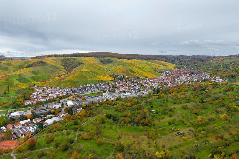 Colourful vineyards and a village in a vast, green autumn landscape, Strümpfelbach im Remstal, Rems-Murr-Kreis, Baden-Württemberg, Germany