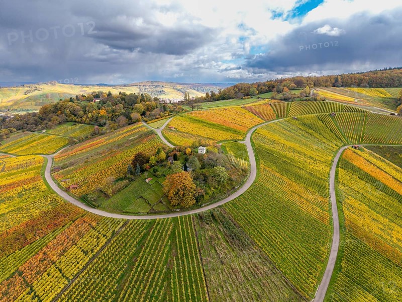 Colourful, curvy vineyards stretch across a range of hills under dramatic clouds, autumn, Schützenhüttle-Donkey, near Strümpfelbach im Remstal, Rems-Murr-Kreis, Baden-Württemberg, Germany