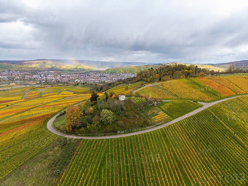 View over hills with colorful vineyards and a dramatic sky full of clouds, autumn, Schützenhüttle-Donkey, near Strümpfelbach im Remstal, Rems-Murr-Kreis, Baden-Württemberg, Germany