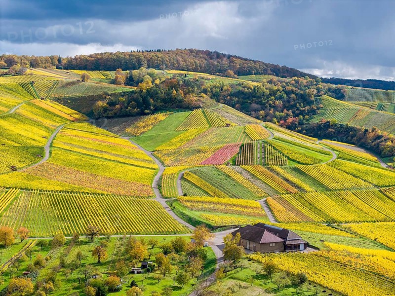 Hilly vineyards with a winepress, autumn colors contrasting with a cloudy sky, near Strümpfelbach im Remstal, Rems-Murr-Kreis, Baden-Württemberg, Germany