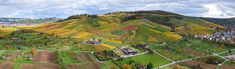 Landscape panorama of hilly vineyards with a village and cloudy sky, autumn, Strümpfelbach im Remstal, Rems-Murr-Kreis, Baden-Württemberg, Germany