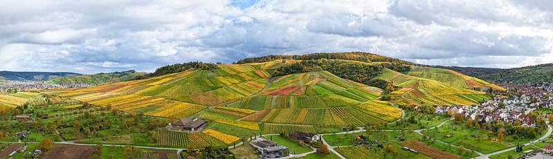Extensive panoramic landscape of vineyards next to a small village under clouds, autumn, Strümpfelbach im Remstal, Rems-Murr-Kreis, Baden-Württemberg, Germany