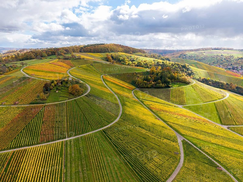 Wavy vineyards in autumn colors stretch across green hills, autumn, Schützenhüttle-Donkey, near Strümpfelbach im Remstal, Rems-Murr-Kreis, Baden-Württemberg, Germany