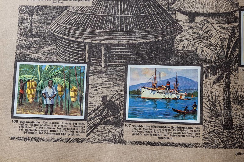 German colonies. Cameroon German Southwest Africa. Banana harvest and steamer from the African Fruit Company. An anthology published by Cigaretten-Bilderdienst Dresden from 1936. Germany