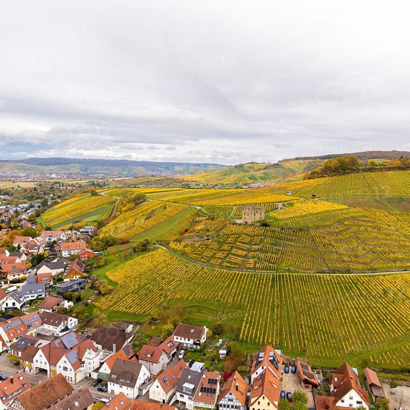 Panoramic view of autumnal vineyards with bright yellow fields, houses and hills under cloudy sky, Y-Burg, Stetten im Remstal, Baden-Württemberg, Germany