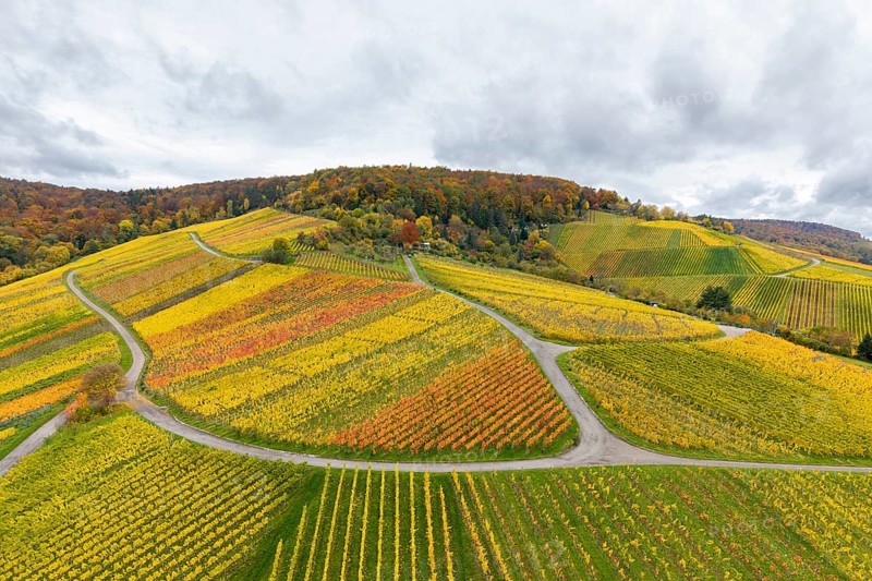 Autumn hilly landscape with colorful vineyards and winding paths, near Stetten im Remstal, Baden-Württemberg, Germany