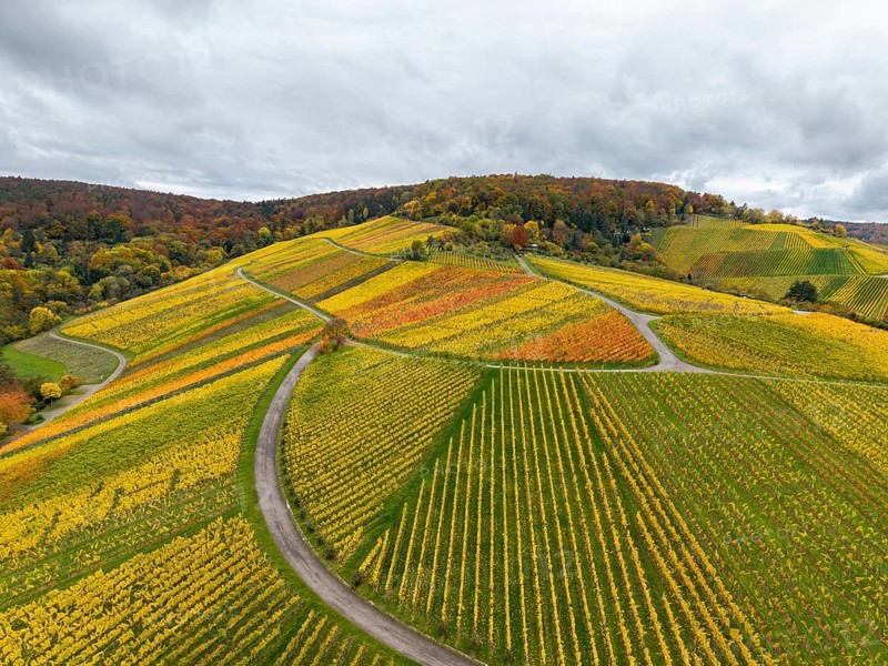 Autumn vineyards with colorful fields and curved paths in cloudy skies, near Stetten im Remstal, Baden-Württemberg, Germany